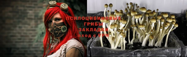 мяу мяу кристалл Белокуриха