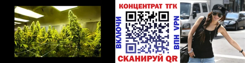 ТГК концентрат  купить наркотики цена  Болохово 