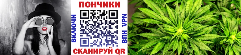 Бошки марихуана ГИДРОПОН  Болохово 